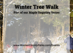 winter tree walk